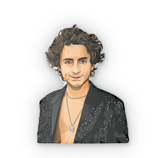 Timothee Chalamet Shaped Pillows - Fandom-Made