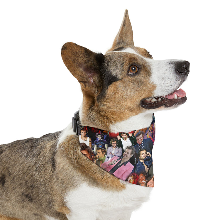 Harry Styles Pet Bandana Collar - Fandom-Made