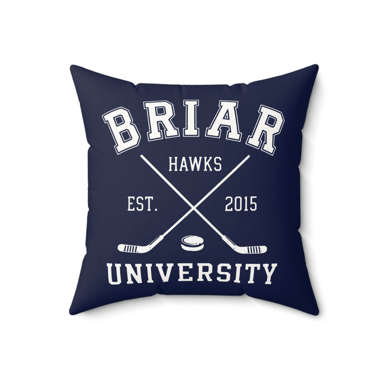 Briar U Faux Suede Square Pillow
