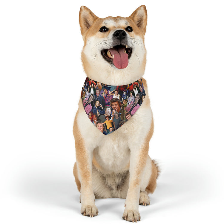 Harry Styles Pet Bandana Collar - Fandom-Made