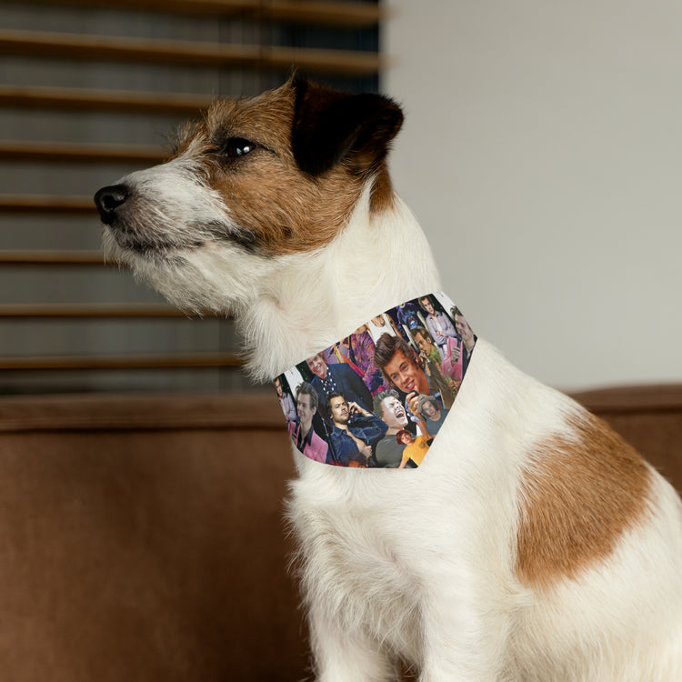 Harry Styles Pet Bandana Collar - Fandom-Made