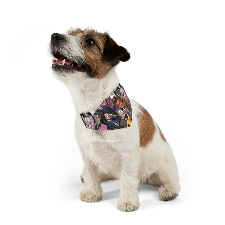 Harry Styles Pet Bandana Collar - Fandom-Made