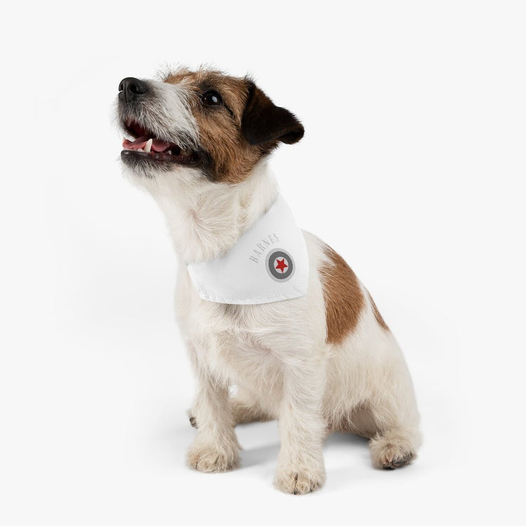 Bucky Barnes - Shield - Pet Bandana Collar - Fandom-Made