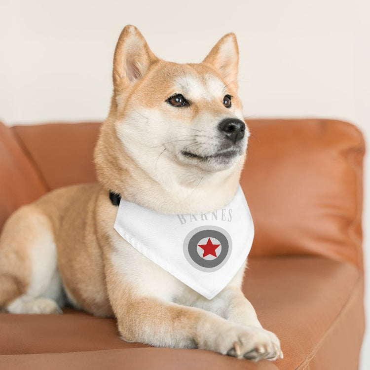 Bucky Barnes - Shield - Pet Bandana Collar - Fandom-Made