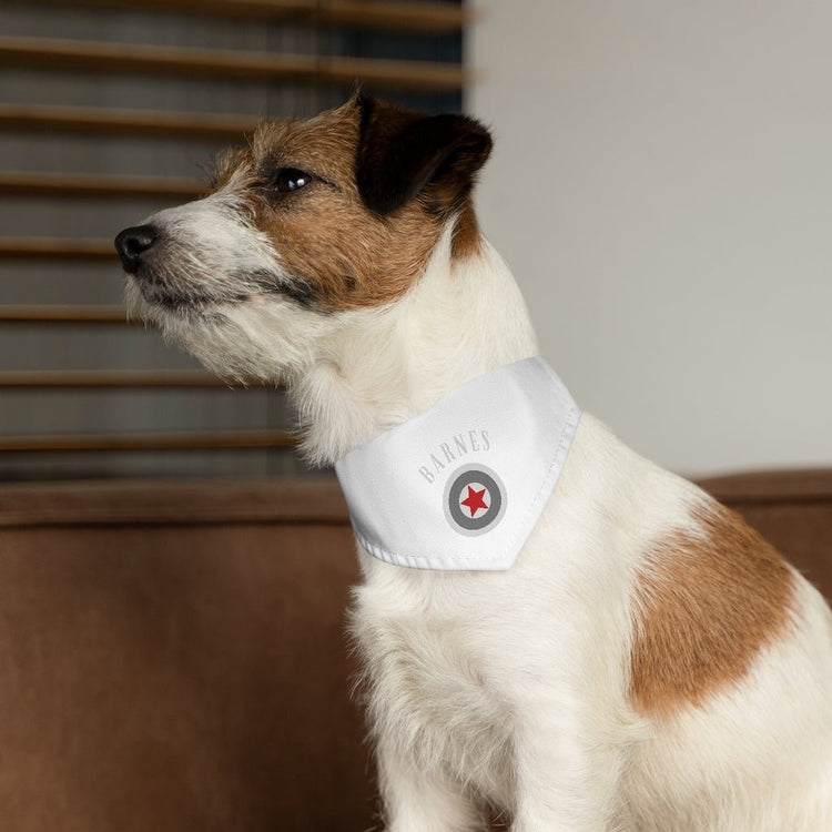 Bucky Barnes - Shield - Pet Bandana Collar - Fandom-Made