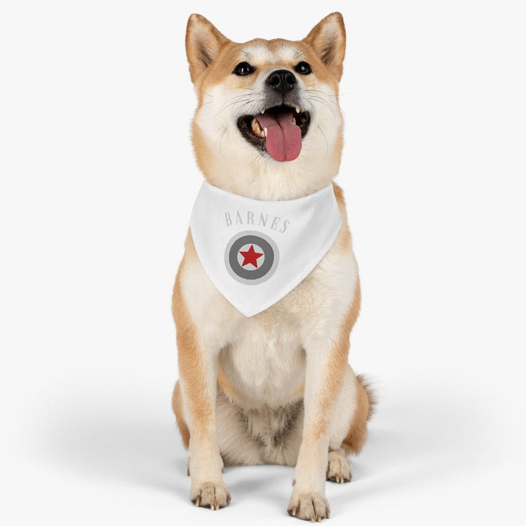 Bucky Barnes - Shield - Pet Bandana Collar - Fandom-Made