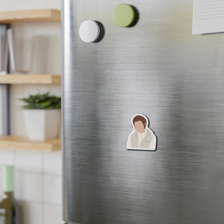 Princess Leia Magnets - Fandom-Made