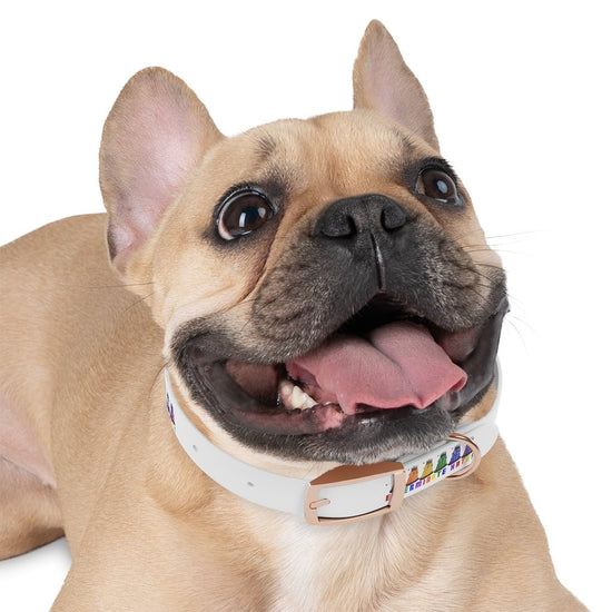 Exterminate Hate Dog Collar - Fandom-Made