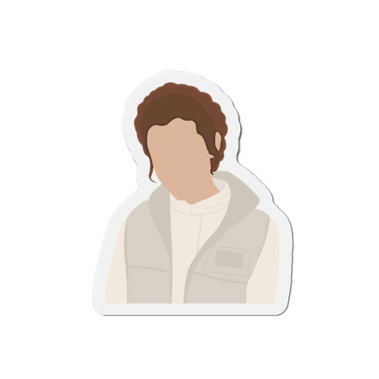 Princess Leia Magnets - Fandom-Made
