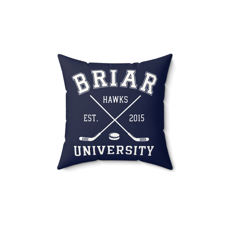 Briar U Faux Suede Square Pillow