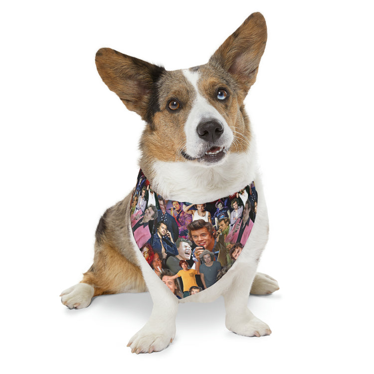 Harry Styles Pet Bandana Collar - Fandom-Made