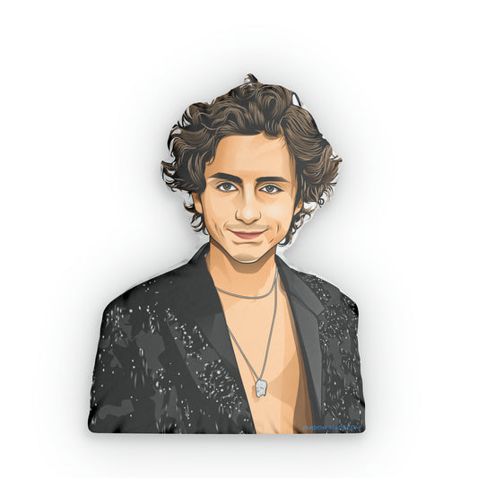 Timothee Chalamet Shaped Pillows - Fandom-Made