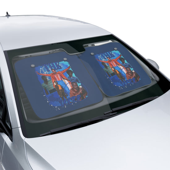 The Fifteenth Doctor Car Sun Shades - Fandom-Made