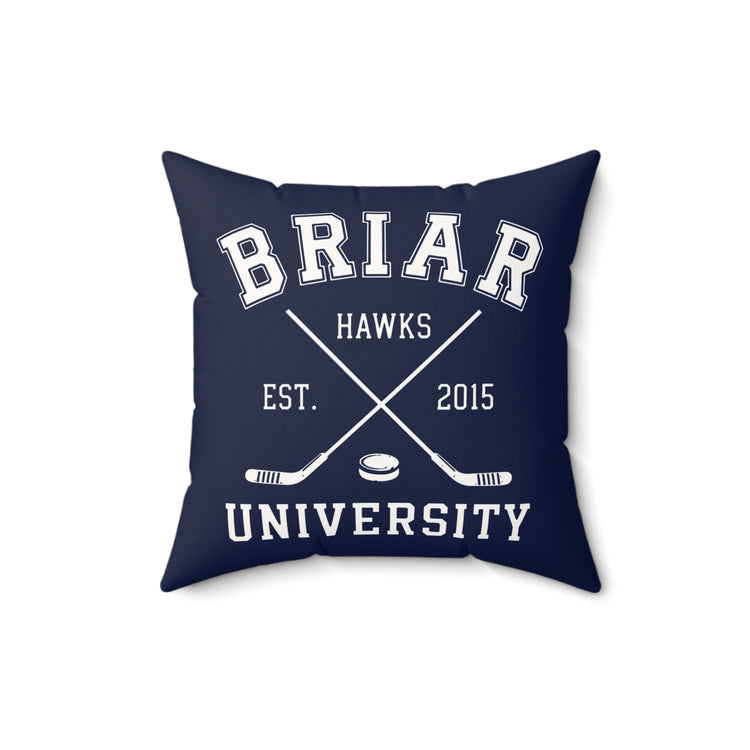 Briar U Faux Suede Square Pillow