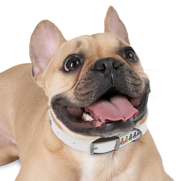 Exterminate Hate Dog Collar - Fandom-Made